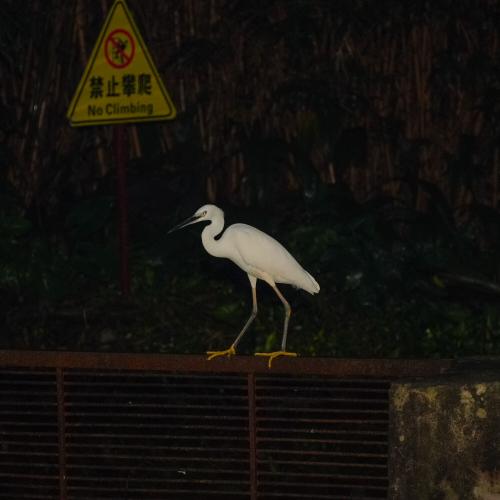 禁止攀爬
