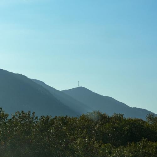 DSC06116