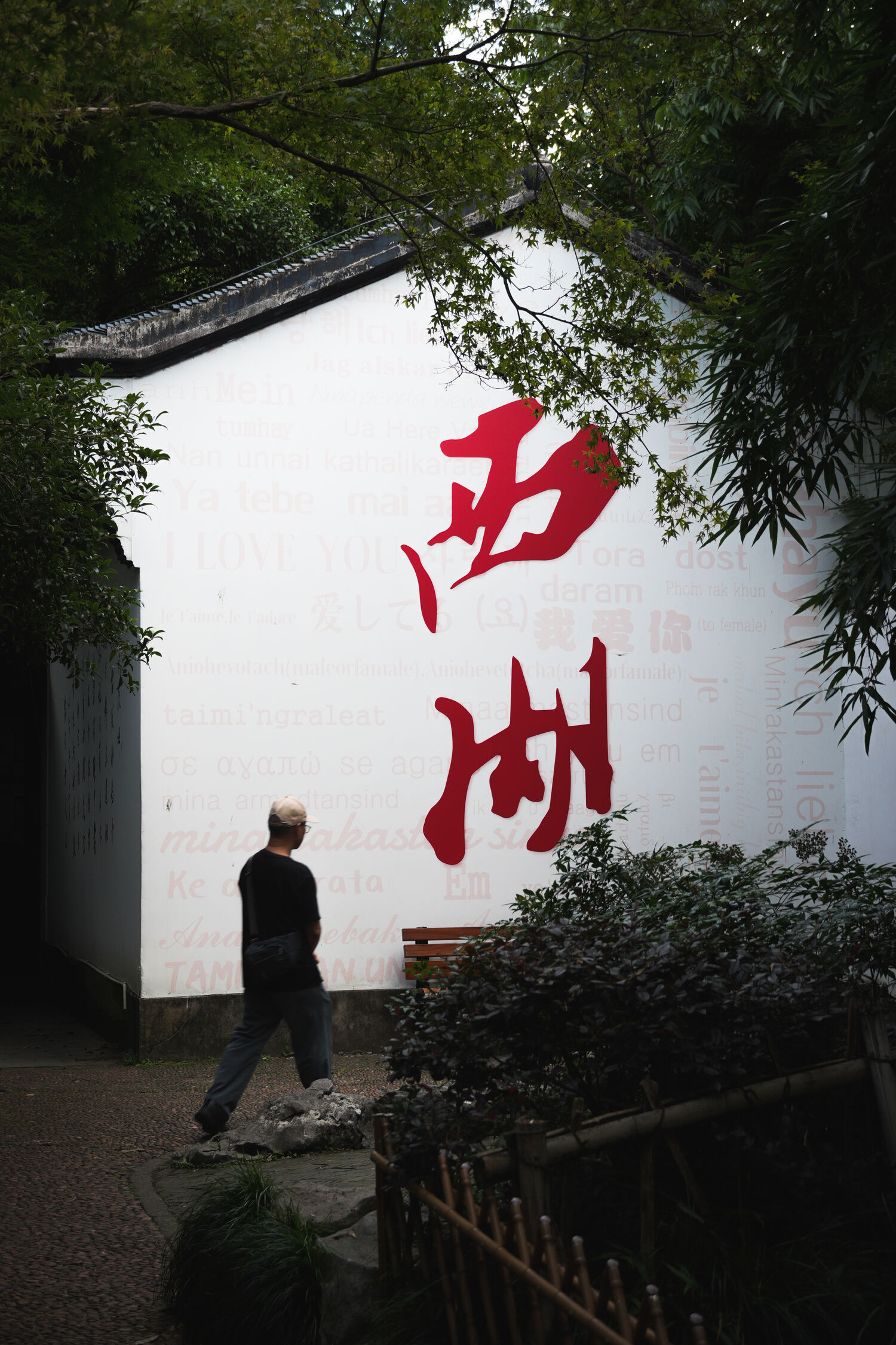 西湖 Banner