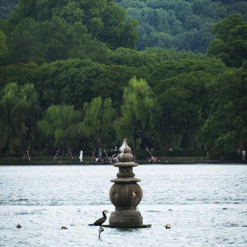 三潭印月